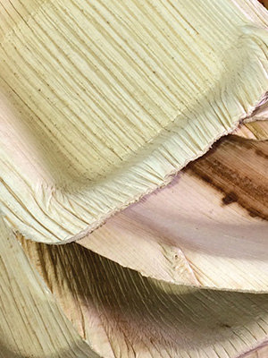 Coir Fiber