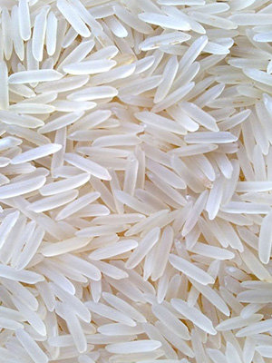 Rice