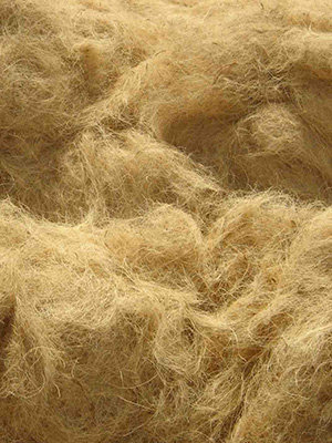 Coir Fiber