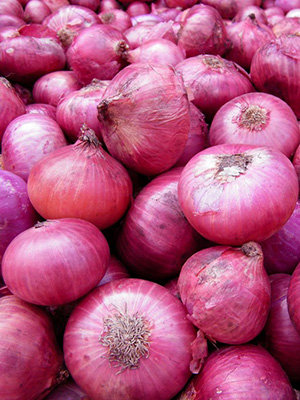 Agricultural products manufacturer and exporter India